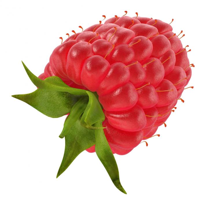 3D model Fresh Ripe Raspberry
