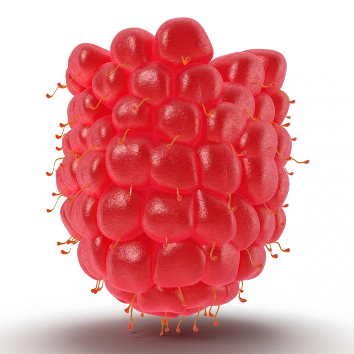 3D Ripe Red Raspberry model