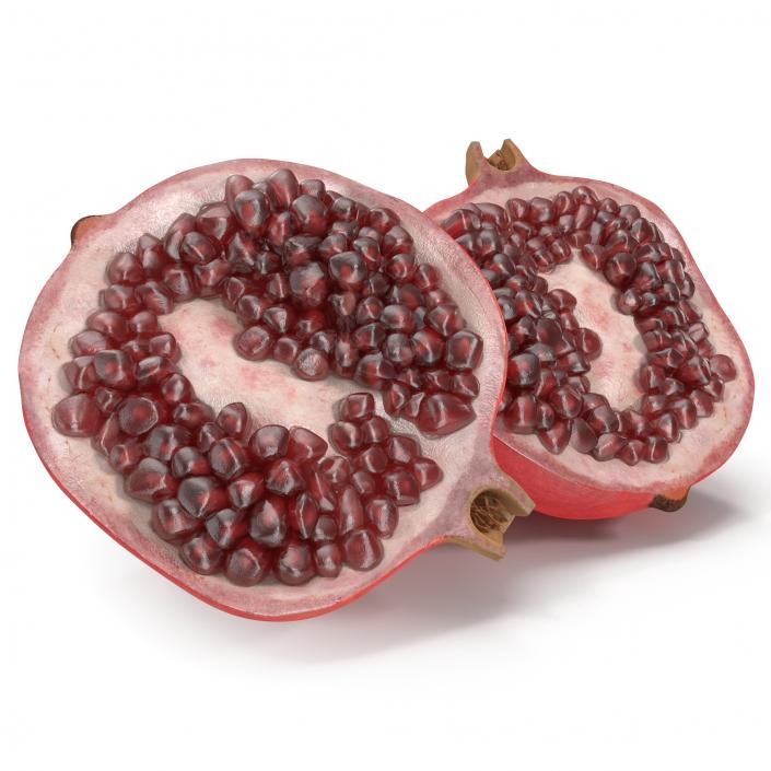Pomegranate Cross Section 3 3D