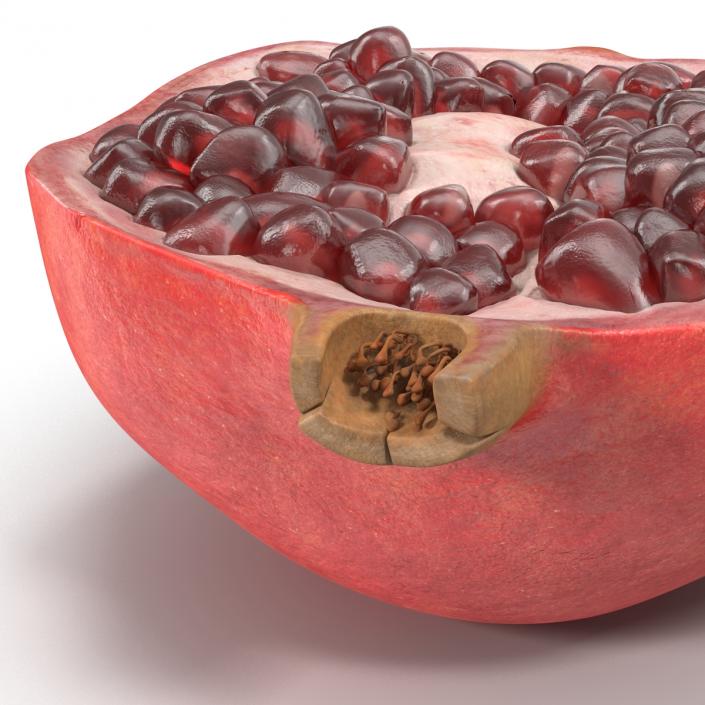 Pomegranate Cross Section 3 3D