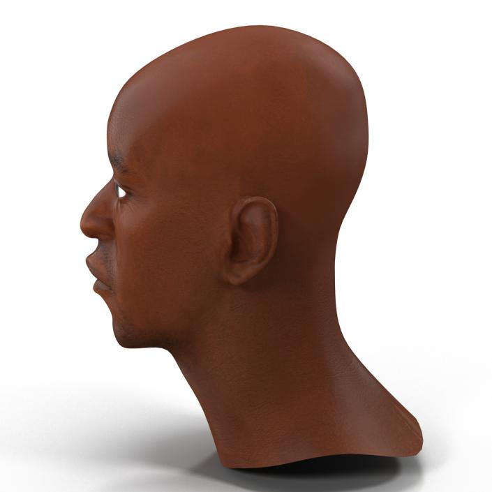 3D African American Male Head 2 model