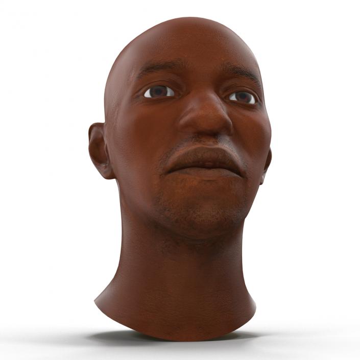 3D African American Male Head 2 model