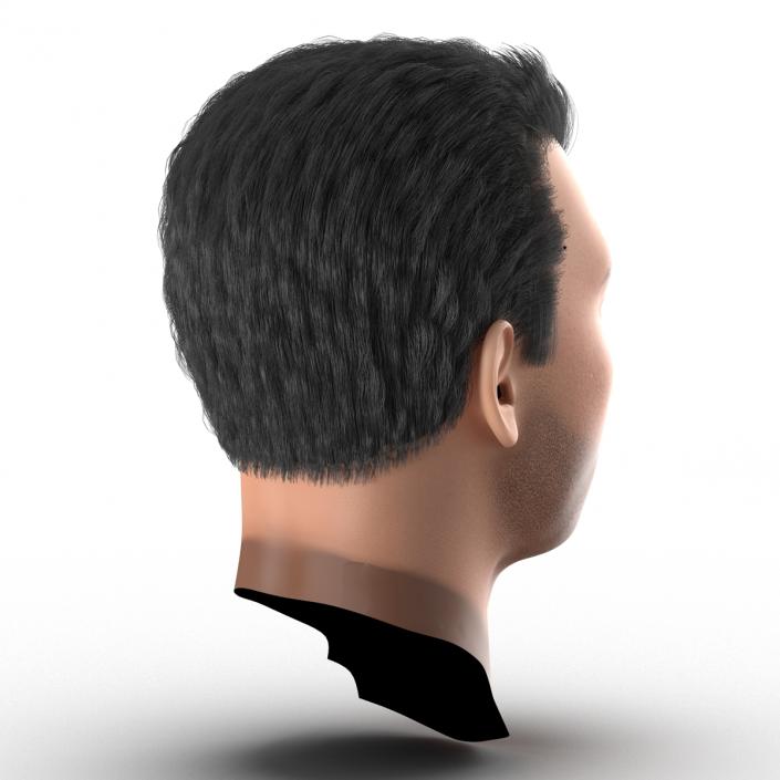 3D Mediterranean Male Head with Hair model