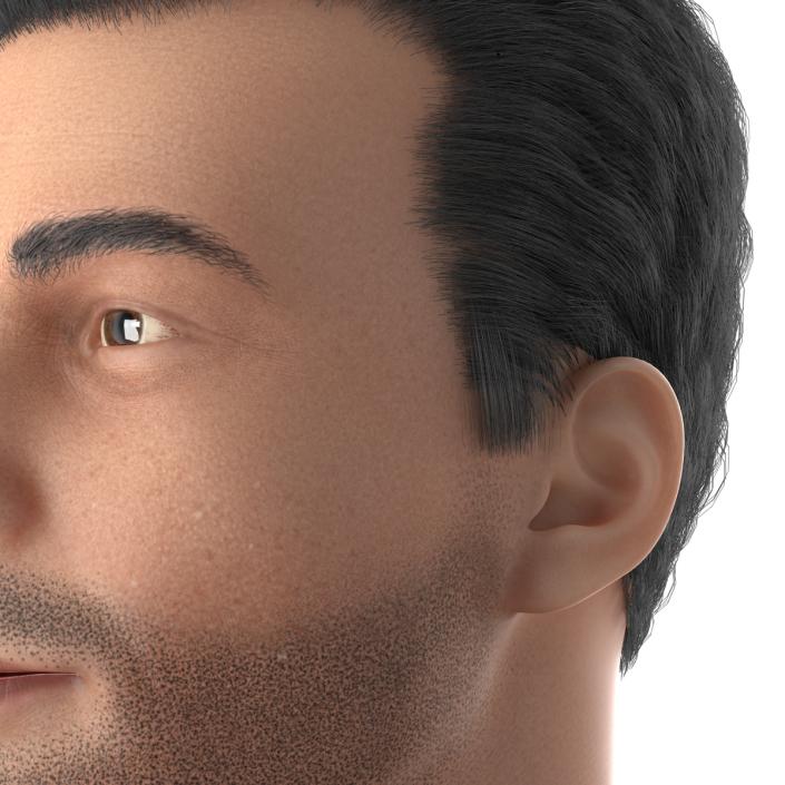 3D Mediterranean Male Head with Hair model