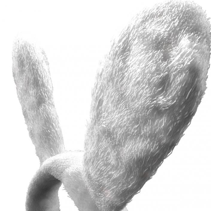 Bunny Ears with Fur 3D model