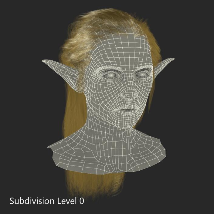 3D model Female Elf Head with Hair