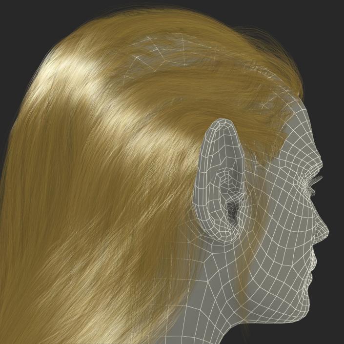 3D model Female Elf Head with Hair