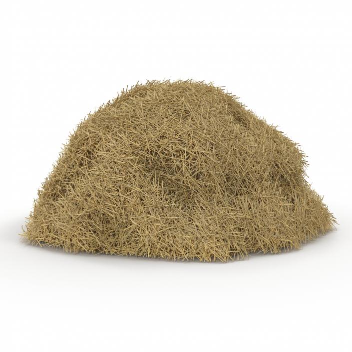 3D model Hay Pile
