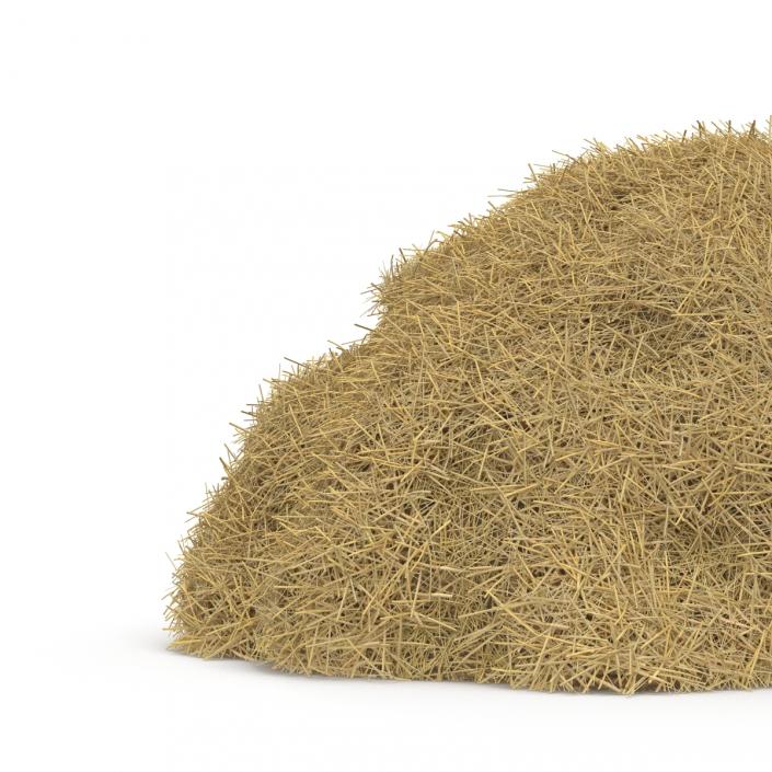 3D model Hay Pile 3