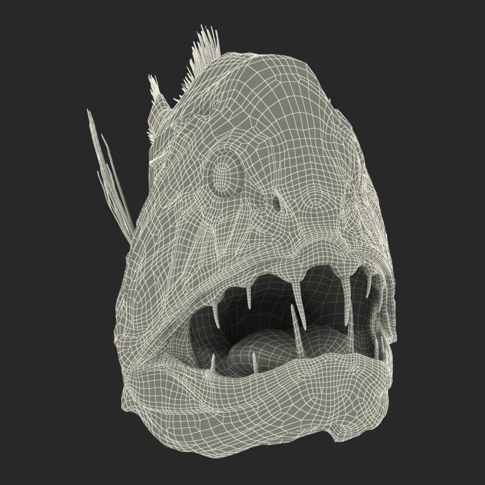 3D Fangtooth Fish 2