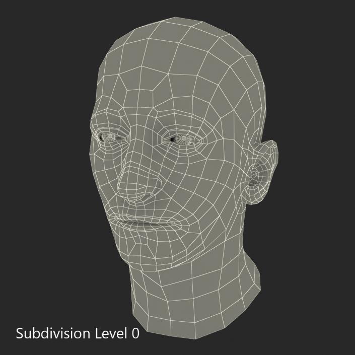 3D Mediterranean Male Head model