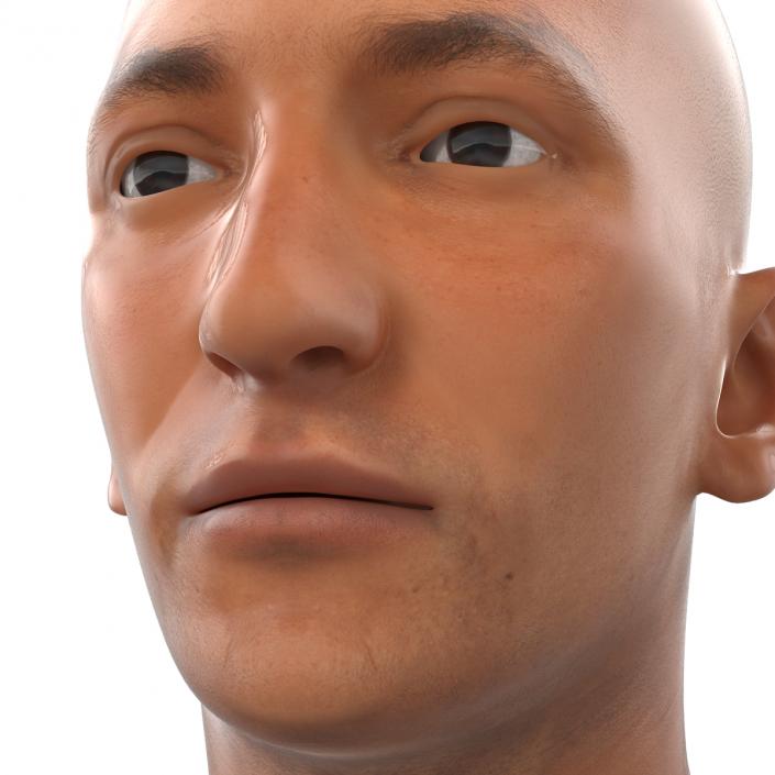 3D Mediterranean Male Head model