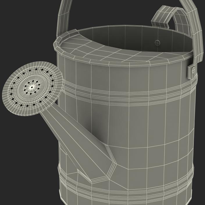 3D model Watering Can Generic