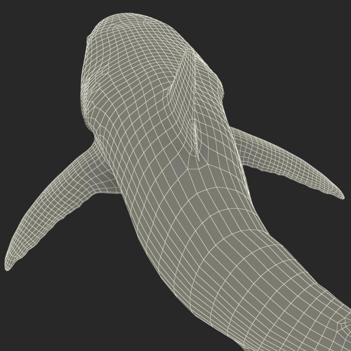Great White Shark Attacking Pose 3D