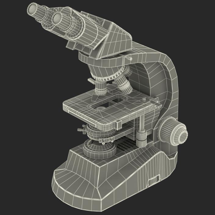 3D model Microscope
