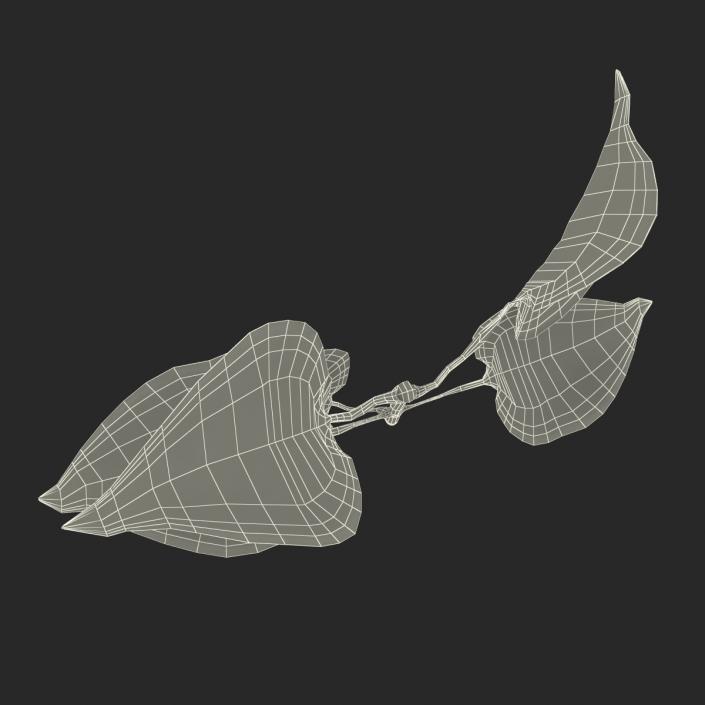3D model Branch With Leaves 2