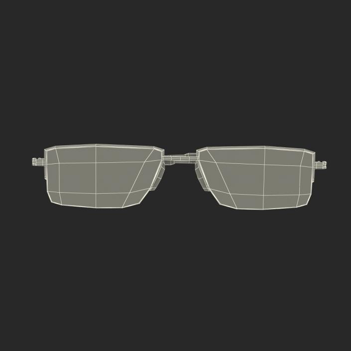 3D Glasses 6 Folded