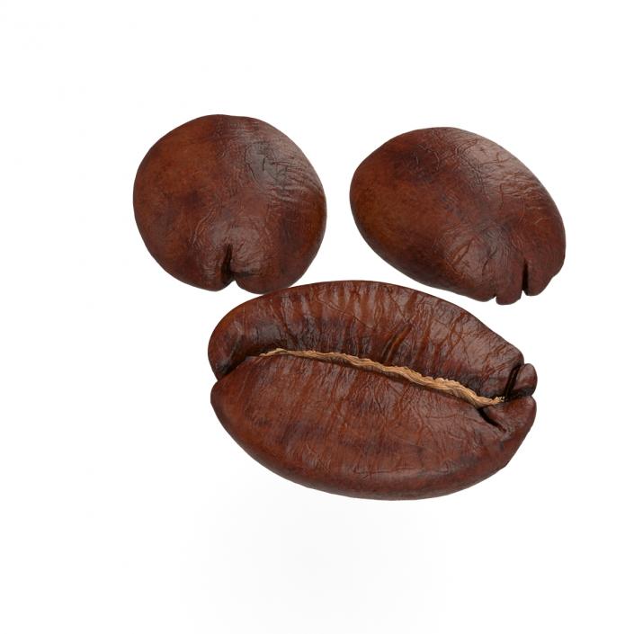 Roasted Coffee Bean 3D model