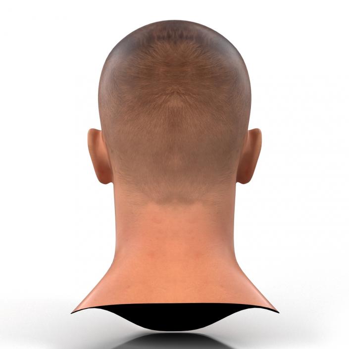 Caucasian Male Head 3D model
