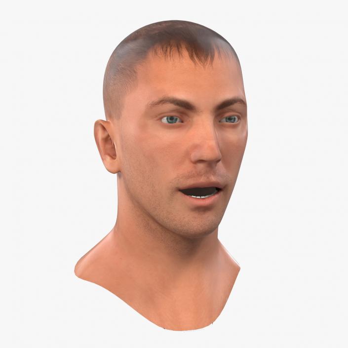 3D Caucasian Male Head Rigged