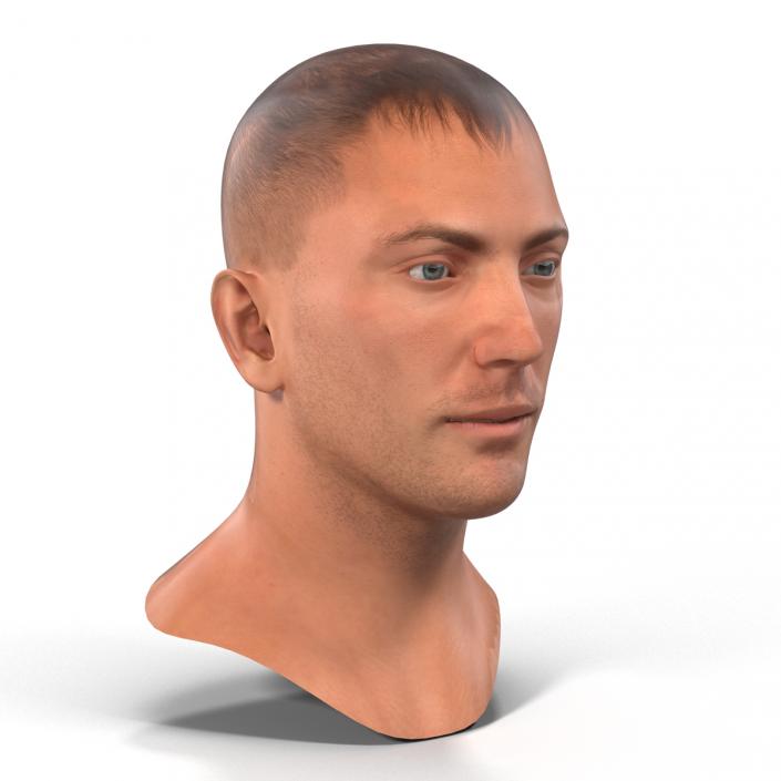 3D Caucasian Male Head Rigged