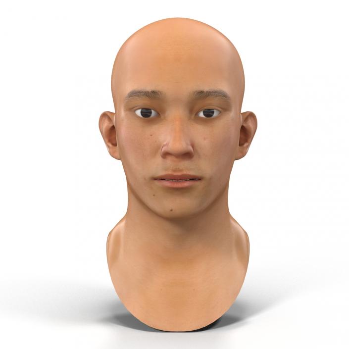 3D model Asian Male Head