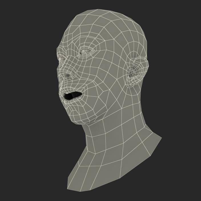 Asian Male Head Rigged 3D