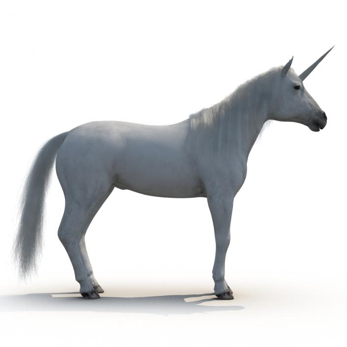 3D Unicorn with Fur
