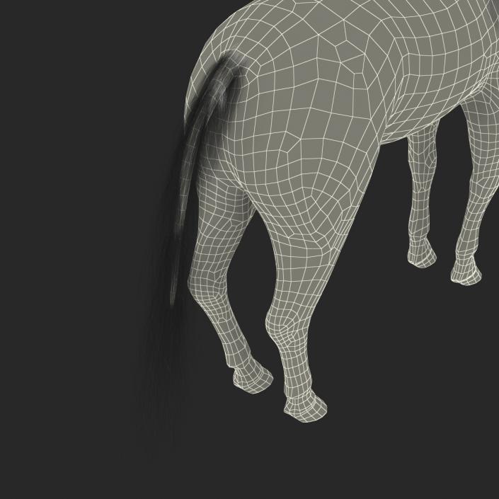 3D Unicorn with Fur