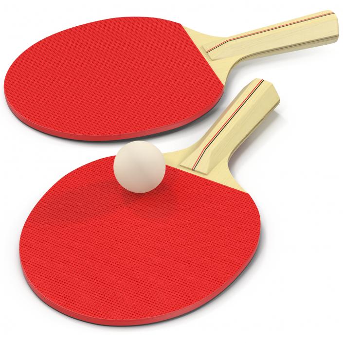 3D model Ping Pong Ball and Paddle