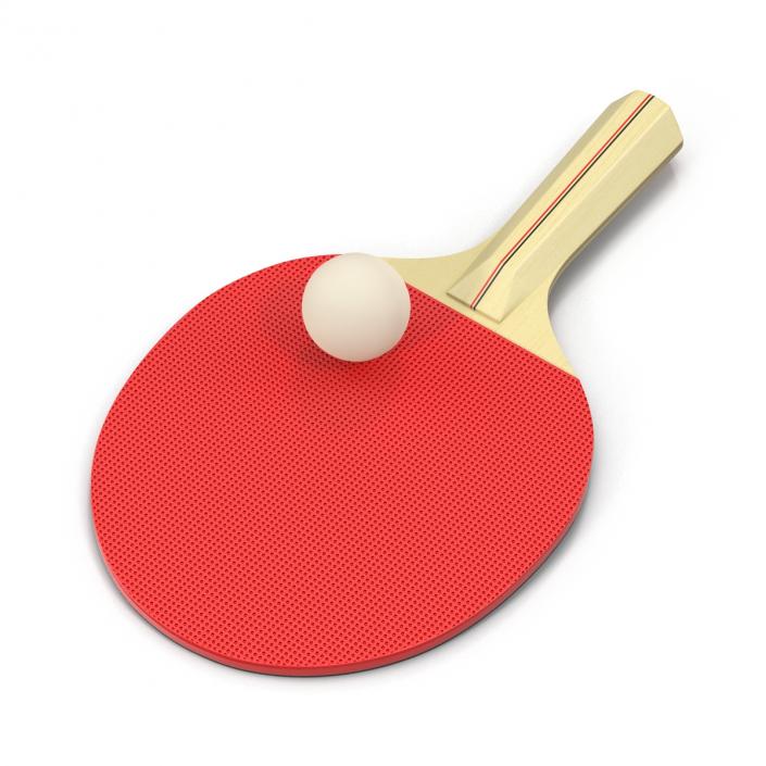3D model Ping Pong Ball and Paddle