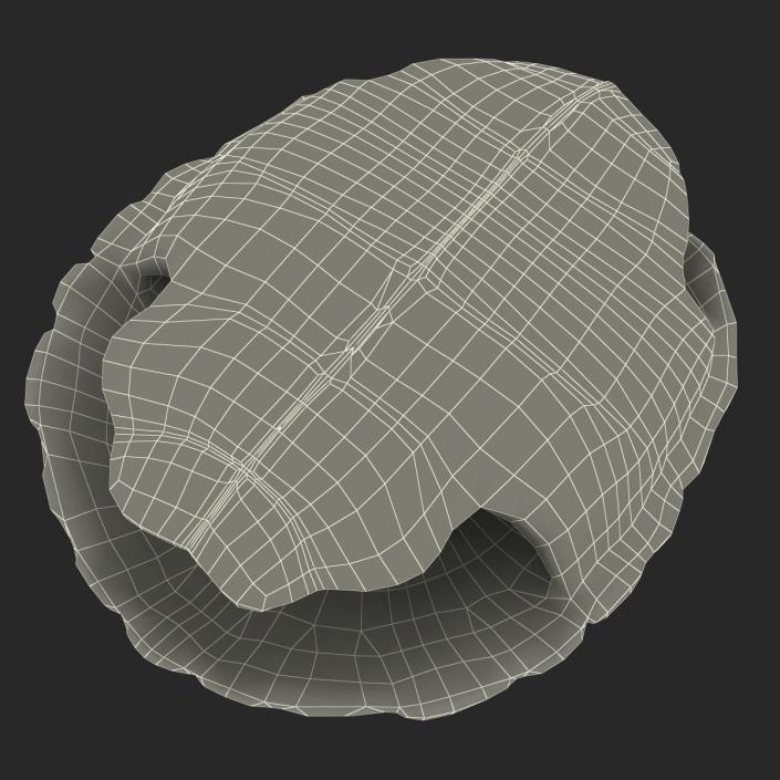 Turtle Shell 3D