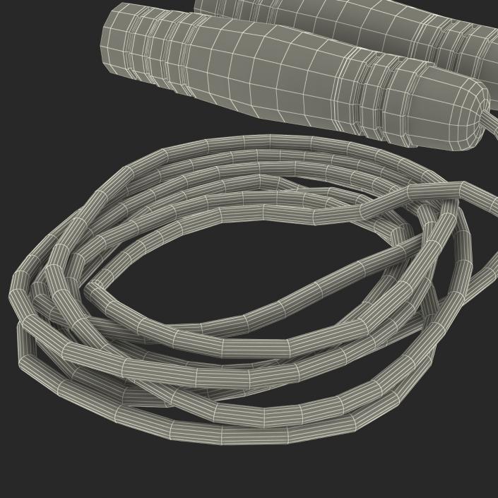 3D Exercise Jump Rope model