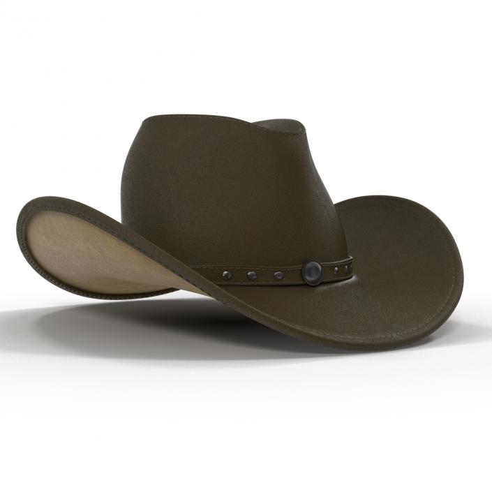 Cowboy Hat 2 3D
