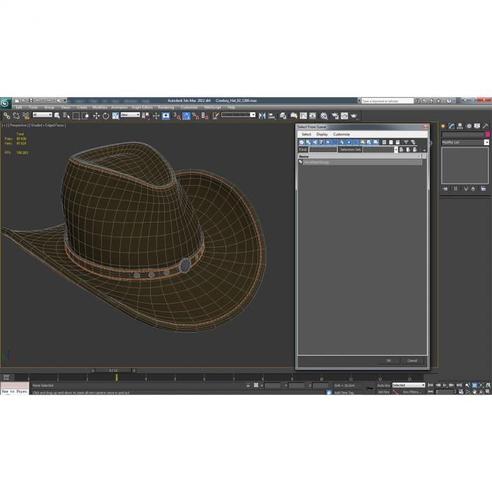 Cowboy Hat 2 3D