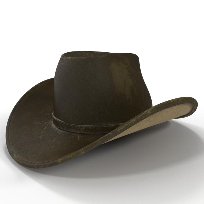 3D Old Cowboy Hat 2