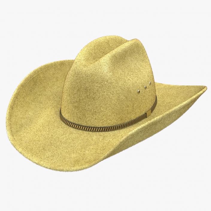 Cowboy Hat 3 3D