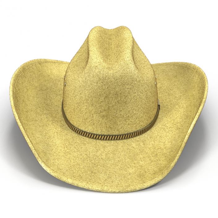 Cowboy Hat 3 3D