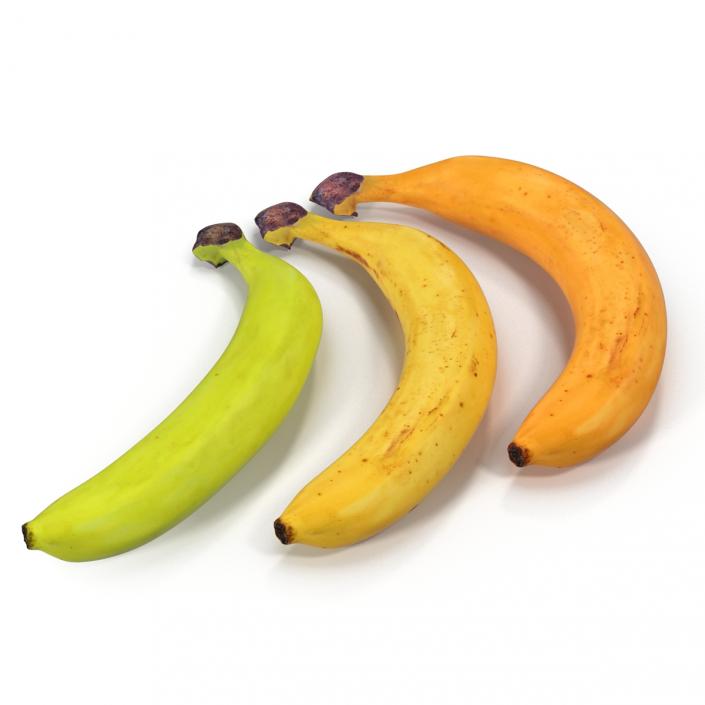 3D Bananas 3D Models Collection model