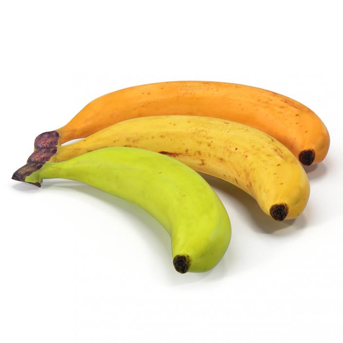3D Bananas 3D Models Collection model
