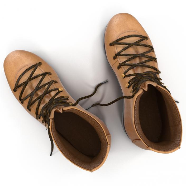 Hiking Boots 3D
