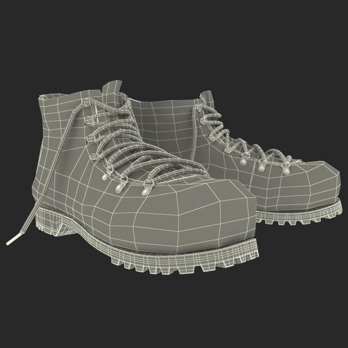 Hiking Boots 3D