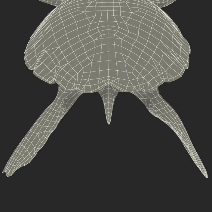 Sea Turtle Pose 3 3D