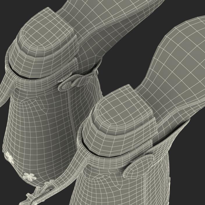 Western Boots with Spurs 3D model