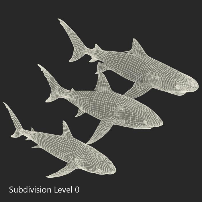 Sharks Collection 3D