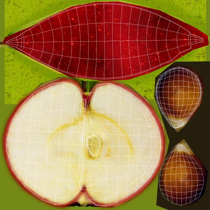3D model Red Apple Slice