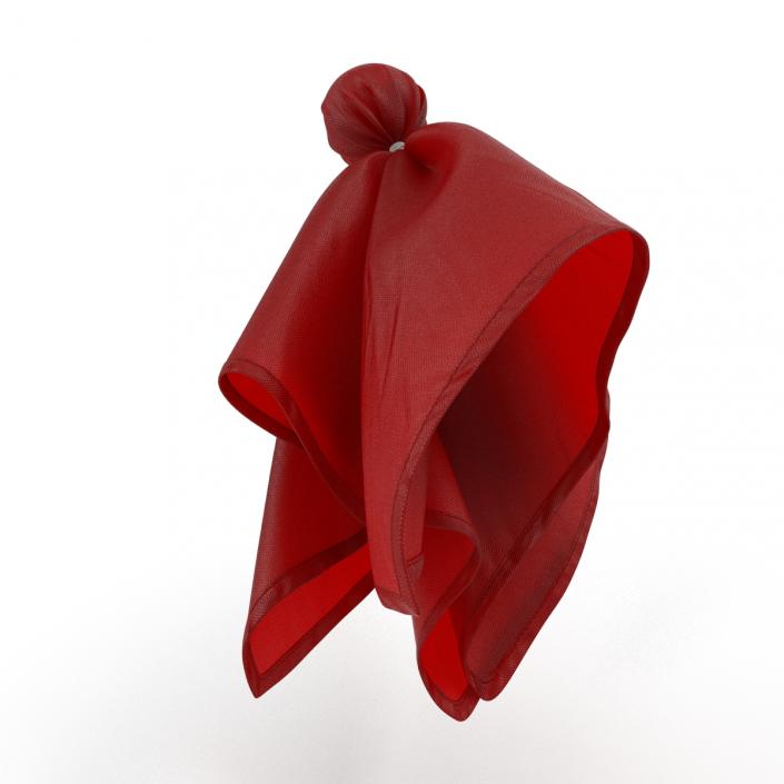 3D model Football Penalty Flag Red