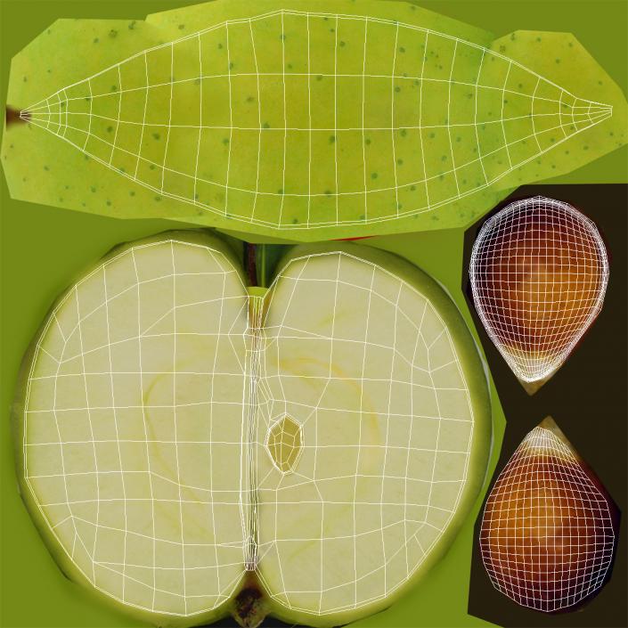 Green Apple Slice 3 3D model