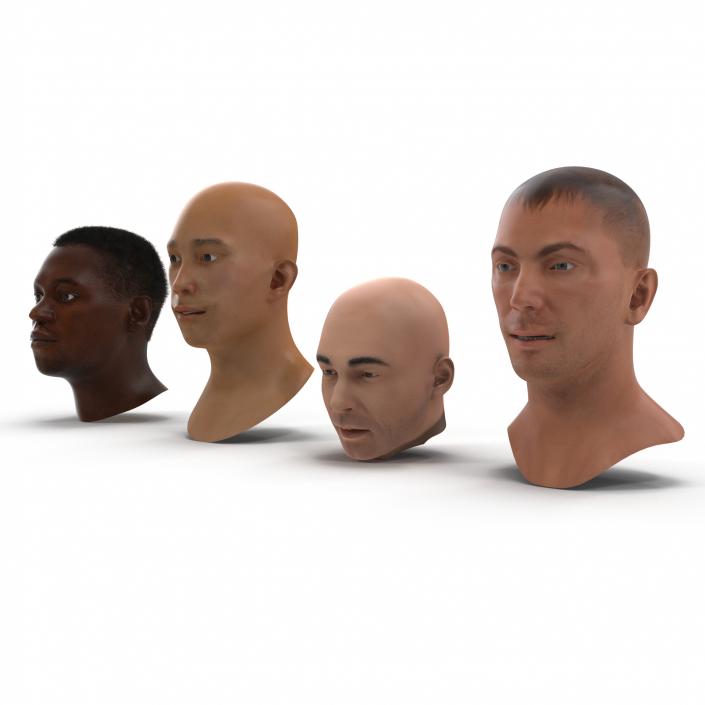 3D Male Rigged Heads Collection model