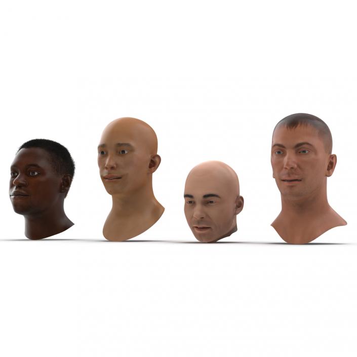3D Male Rigged Heads Collection model